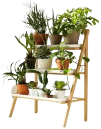 مشتل نباتات فى استراليا