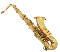 آلات نفخ موسيقية للبيع في استراليا